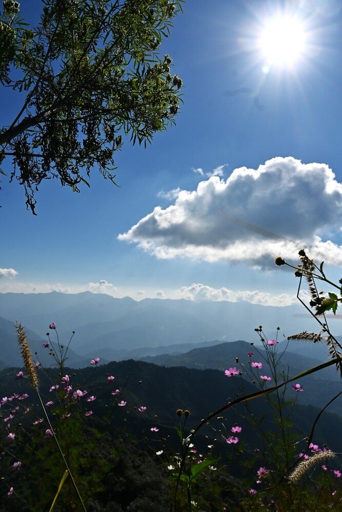 Where Blue Touches Green