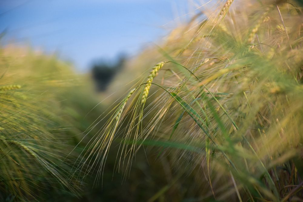 Photograph by Андрей Куракин