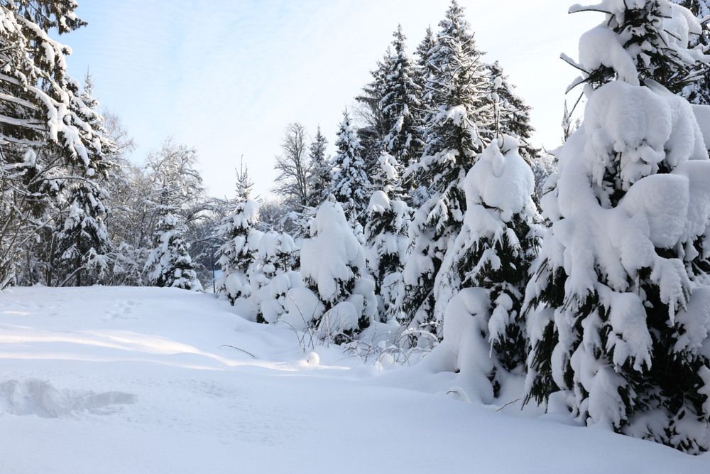 Photograph by Ольга