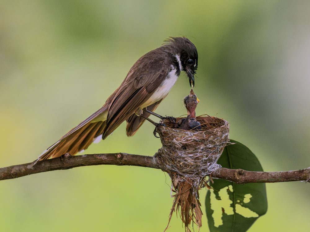 Photograph by Lê Huy Anh