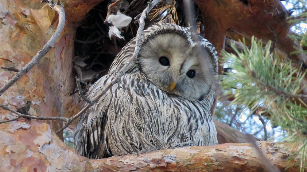 Photograph by Alexsandr Gl