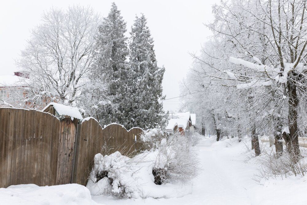 Photograph by Ольга