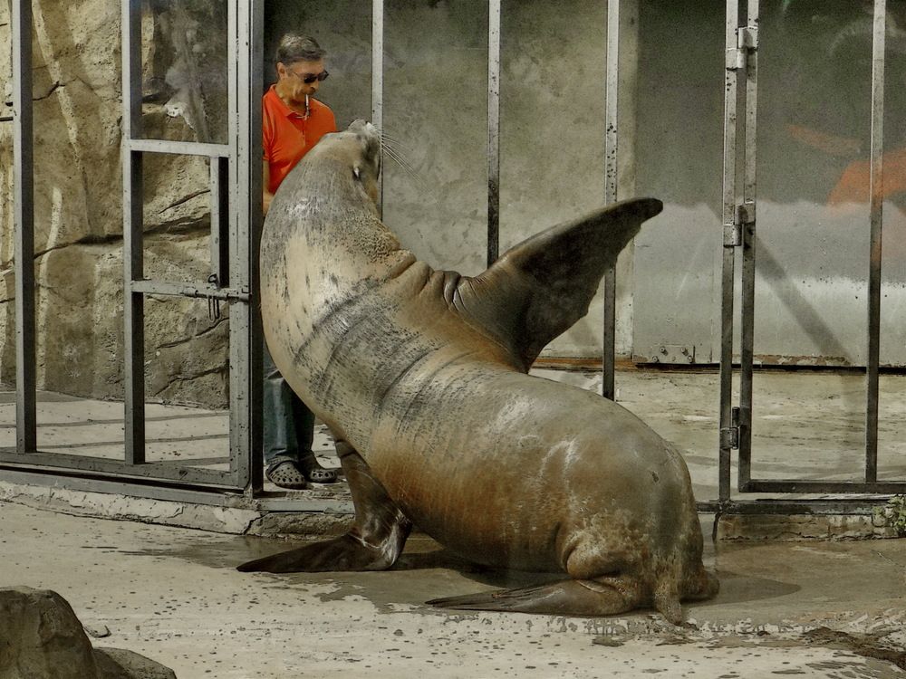 Photograph by Анастасия Смирнова