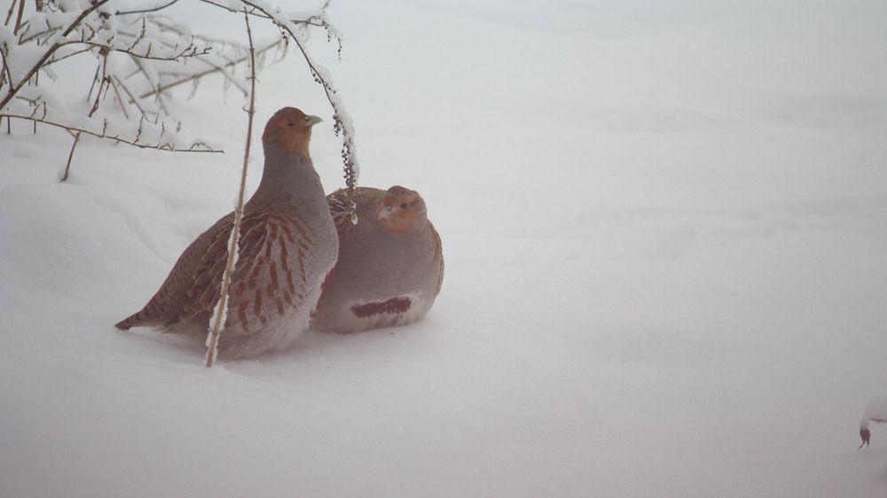 Photograph by Анна Зосименко