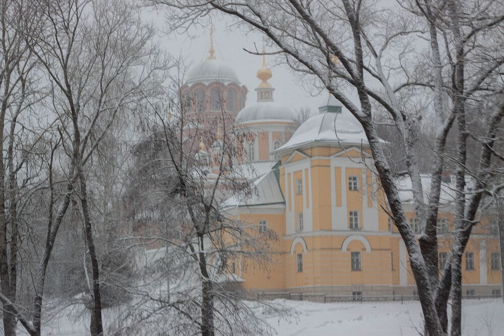 Photograph by Ольга