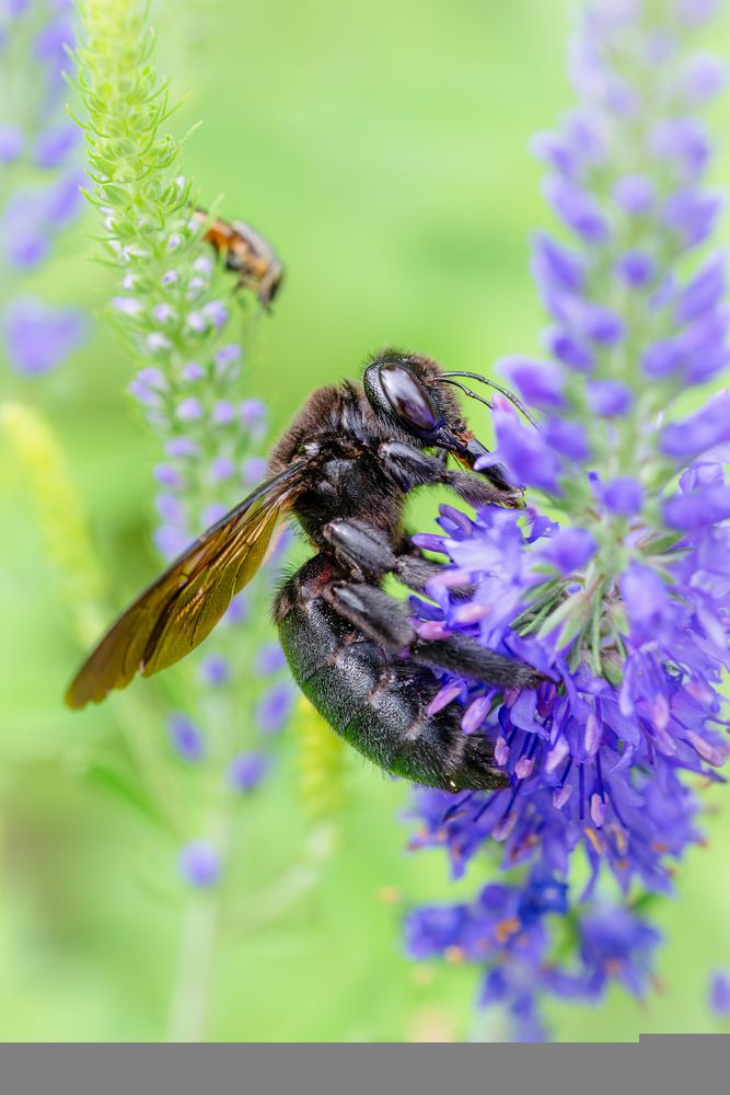 Photograph by Suzuki Ryuta