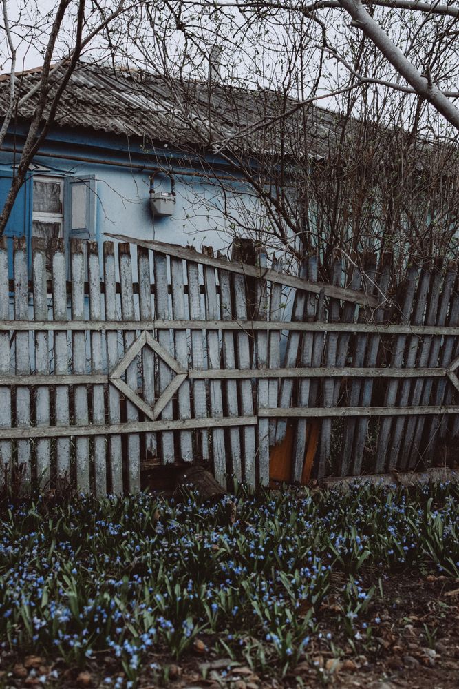 Photograph by Татьяна