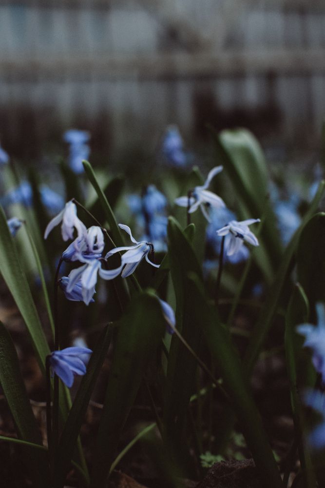 Photograph by Татьяна