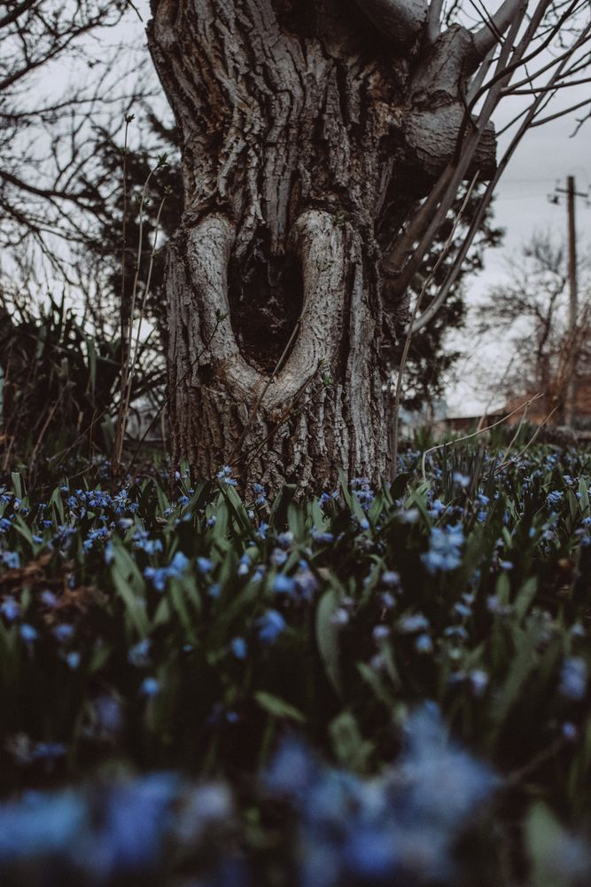 Photograph by Татьяна
