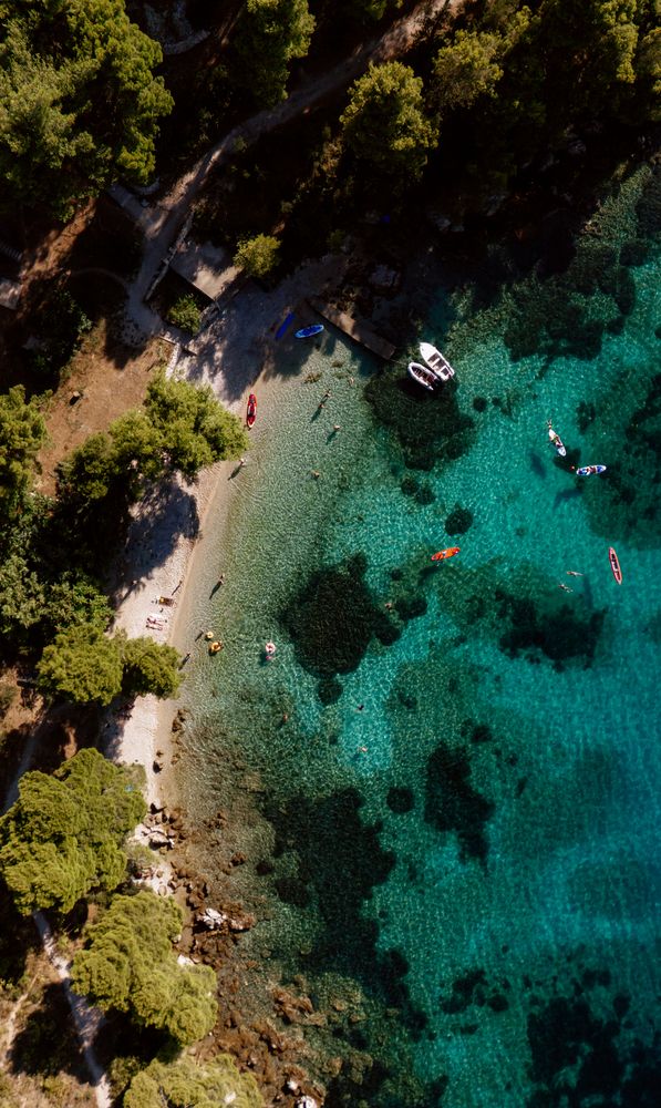 Photograph by Enache Bianca