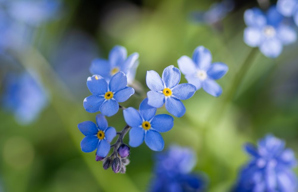 Photograph by Александра Плискова