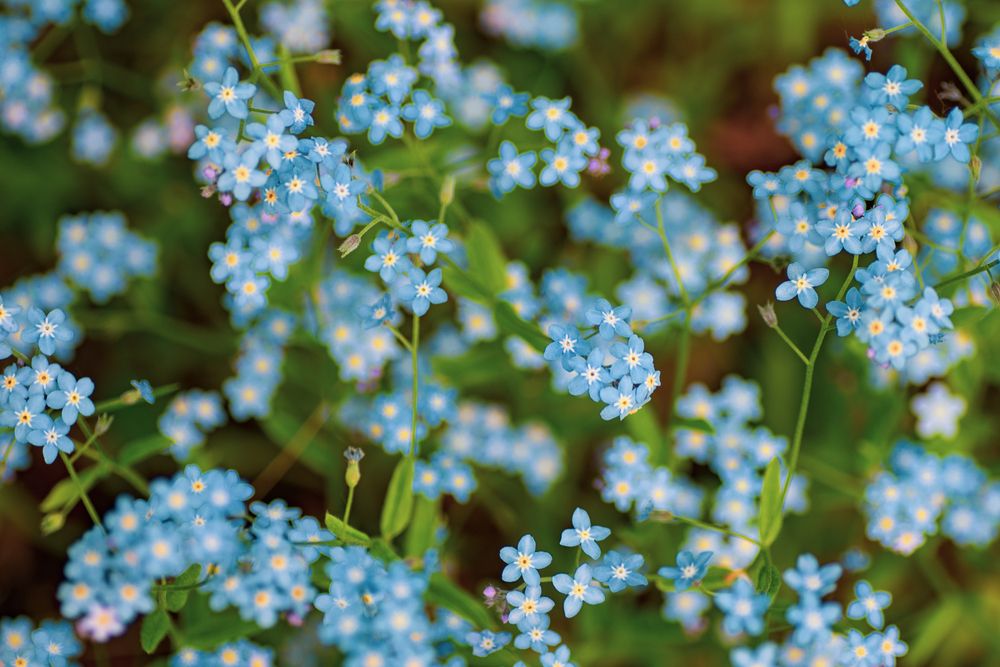 Photograph by Александра Плискова