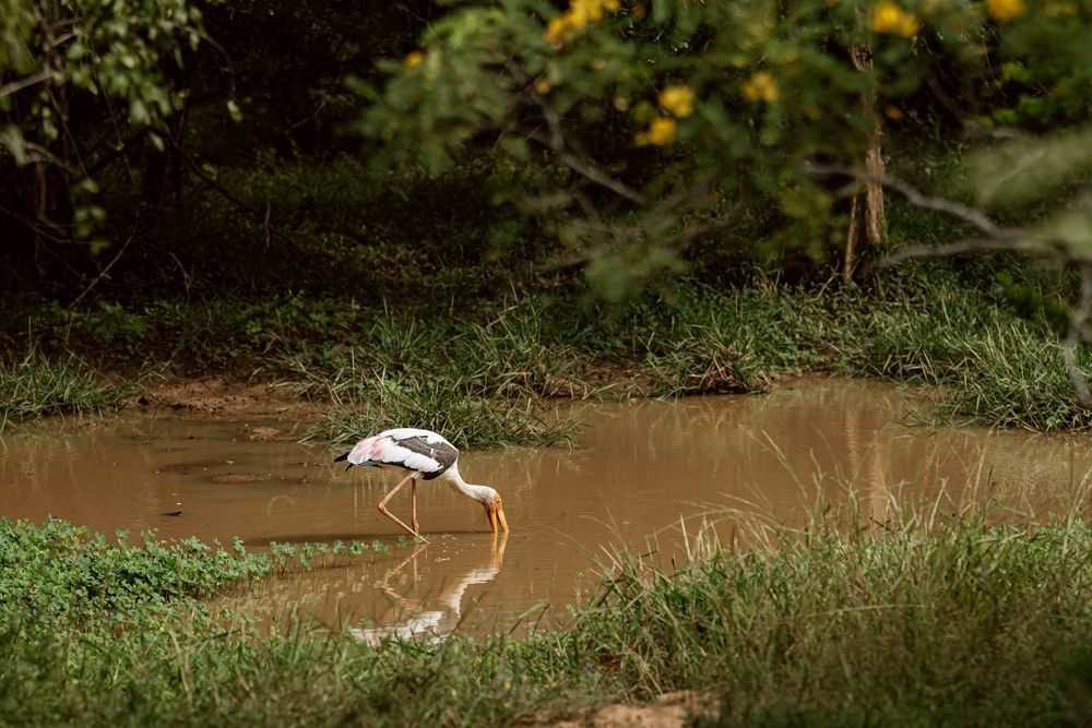 Photograph by Enache Bianca