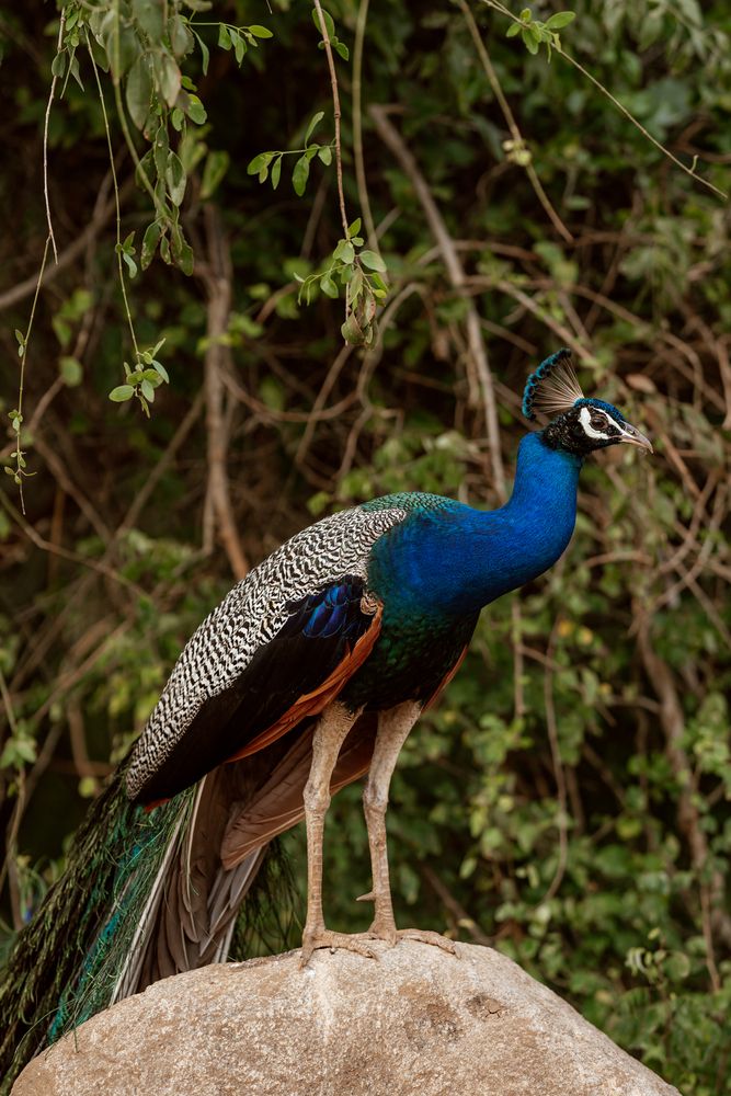 Photograph by Enache Bianca