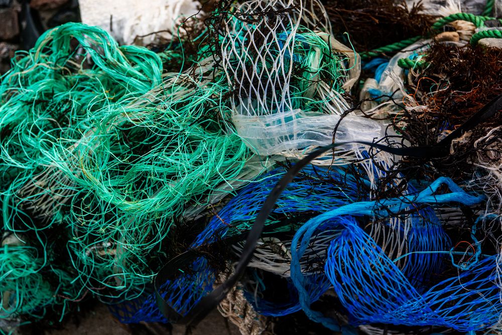 Photograph by Nikolai Barchan