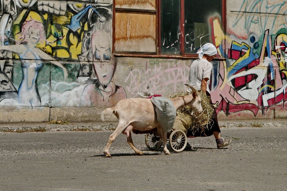 Фотография автора Александр Челмодеев