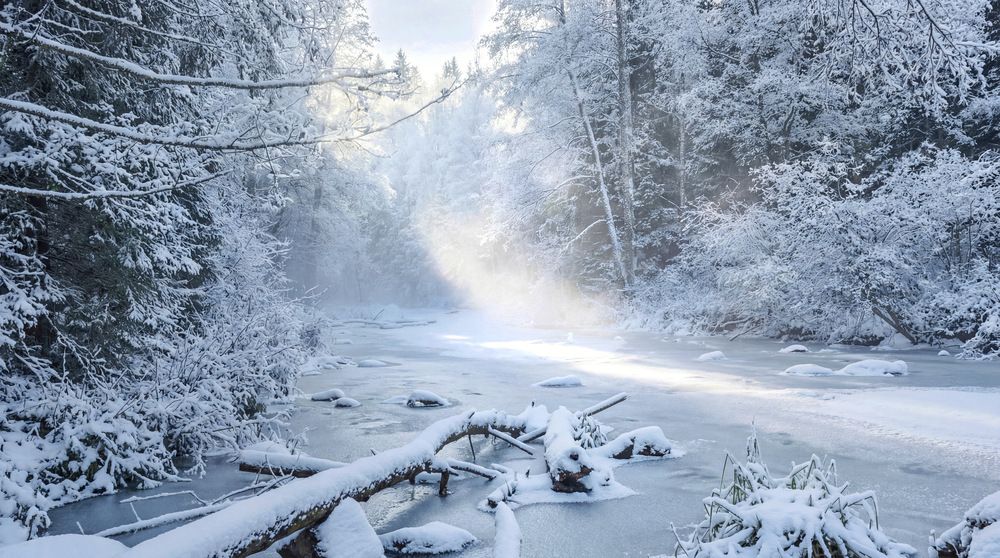 Photograph by Максим Кольцов