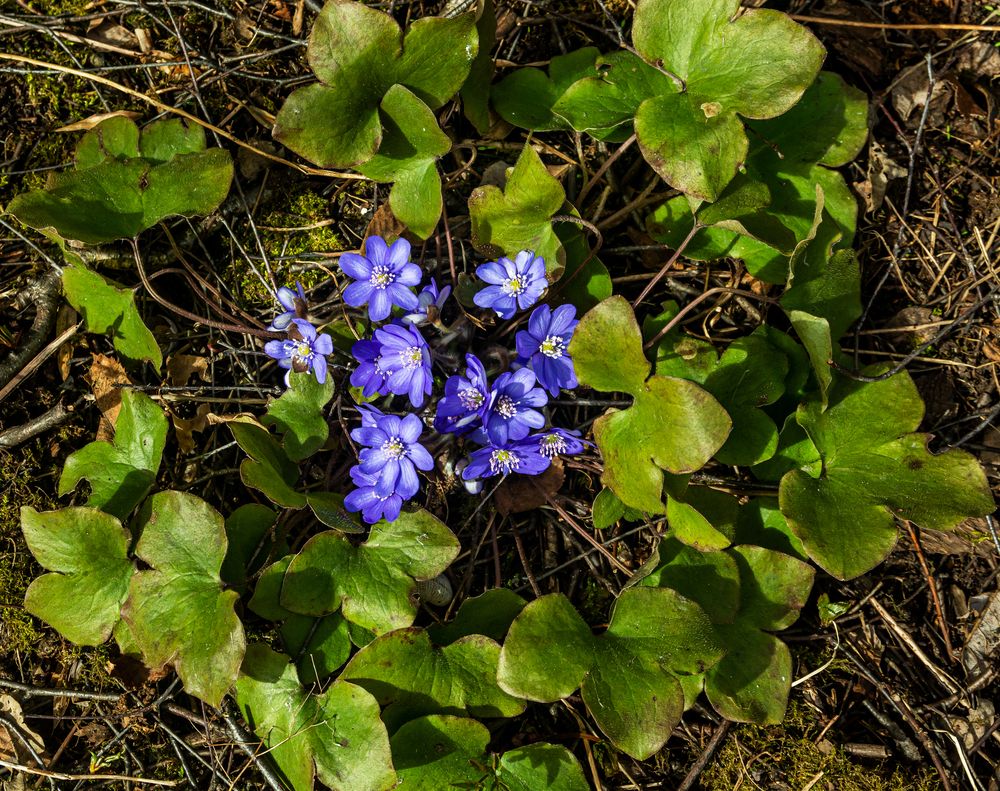 Photograph by Nikolai Barchan