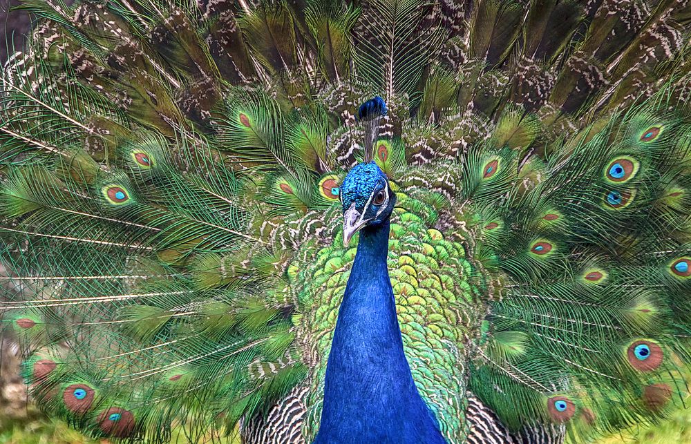 Фотография автора Александр