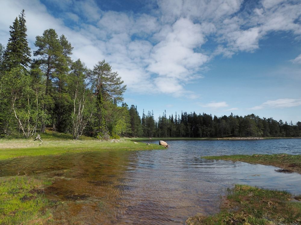 Фотография автора Яковлев Евгений