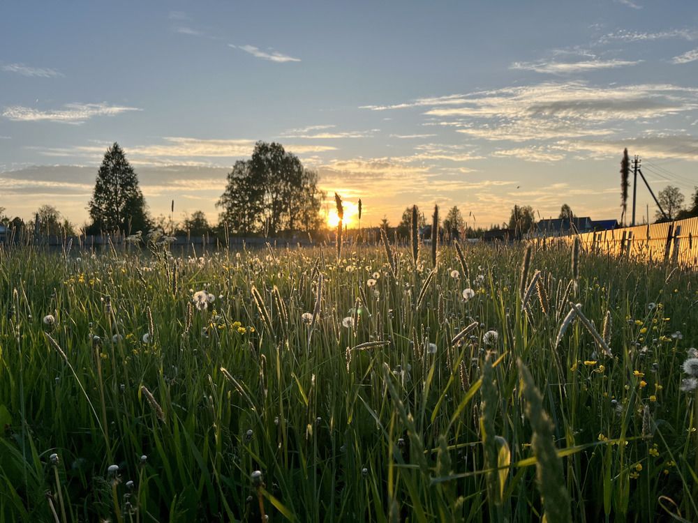 Photograph by Ирина Селиверстова
