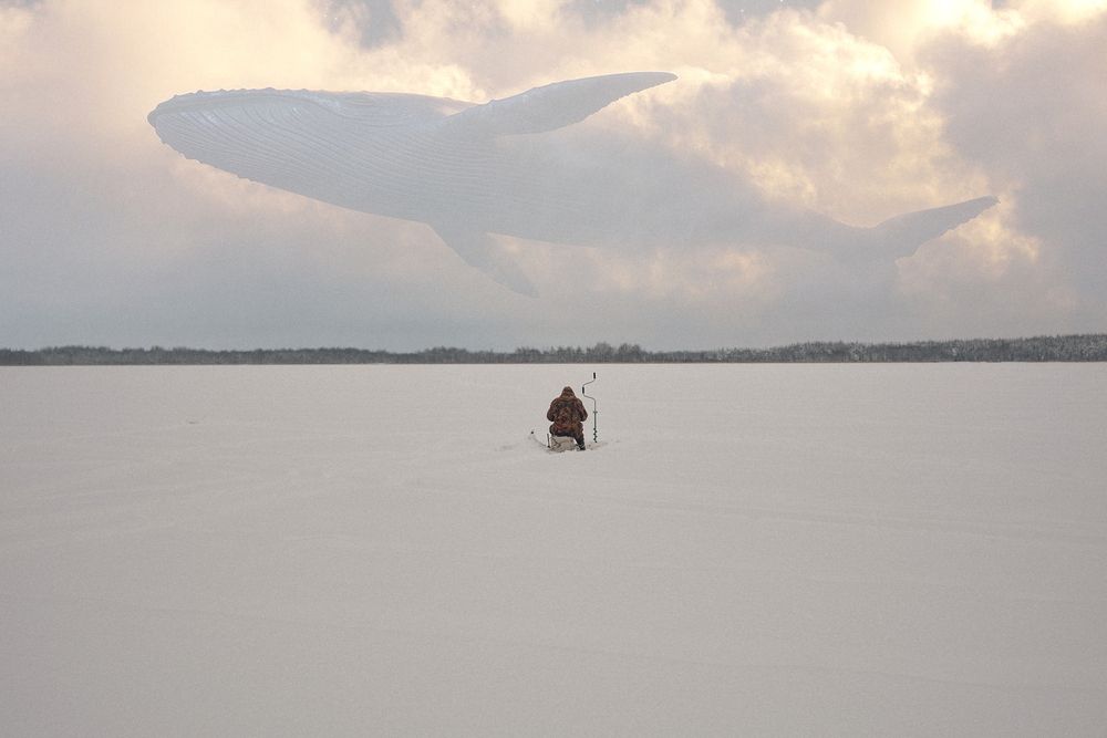 Photograph by Евгений Баранов