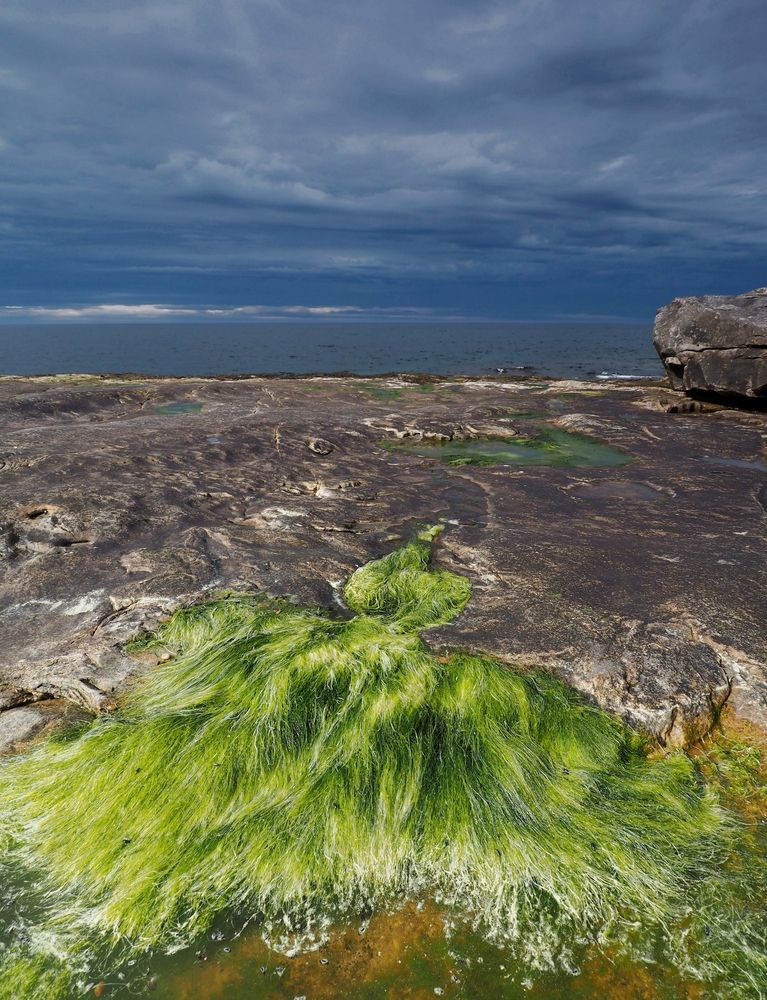 Фотография автора Яковлев Евгений