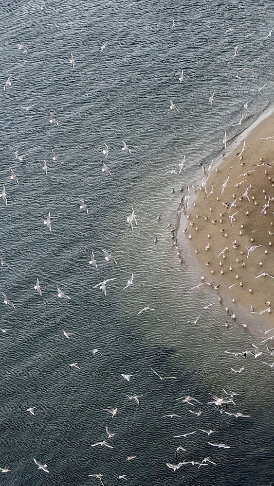 Фотография автора Ol`ga Lukyanova