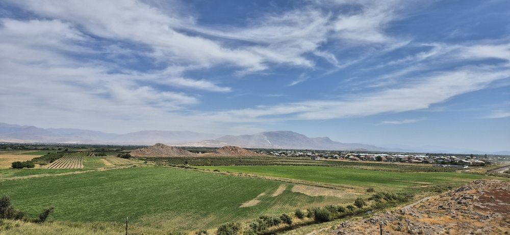 Фотография автора Ольга Мусина