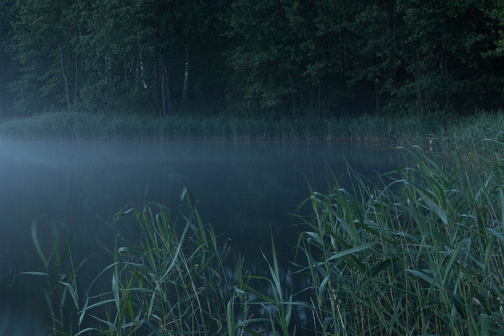 Photograph by Роман Гурененко