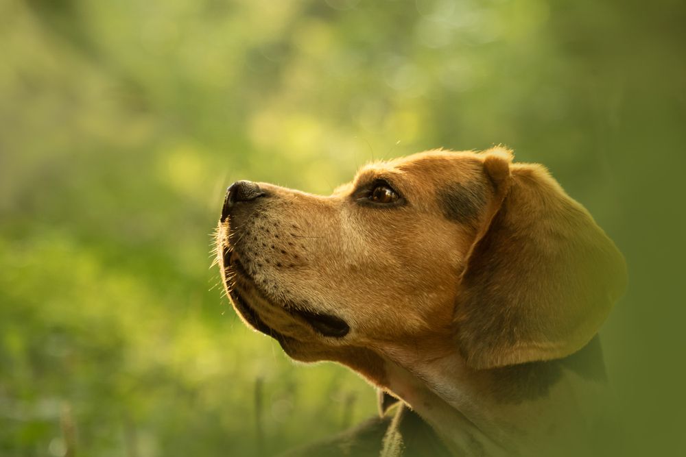Photograph by Юлия Куликова