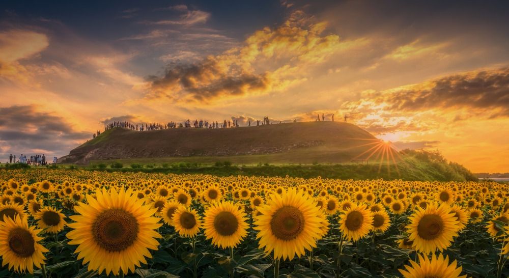Golden Sunset at Horogoru