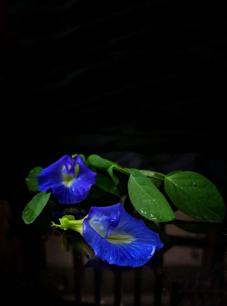 Photograph by Moon Moon Hossain