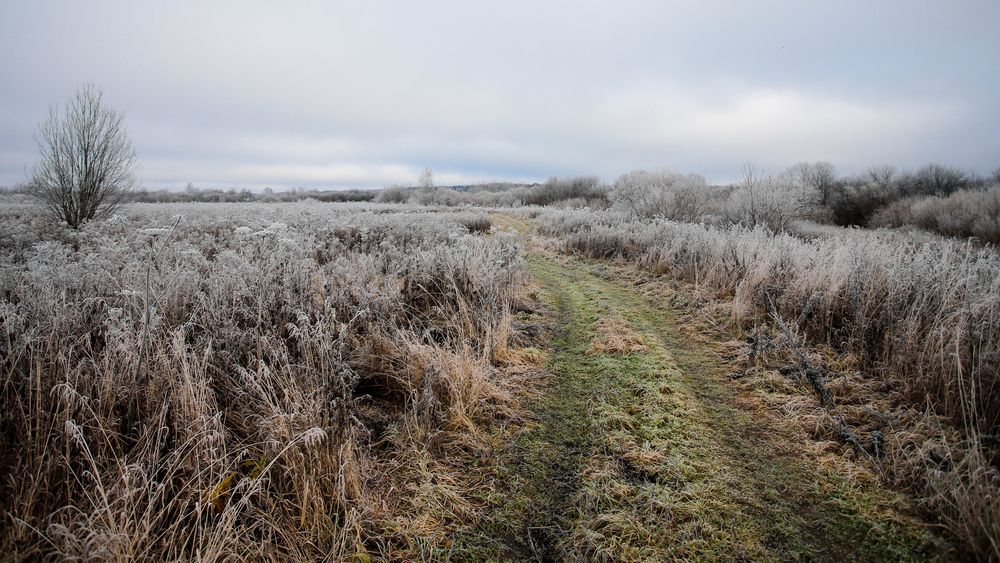 Photograph by Георгий Юркин