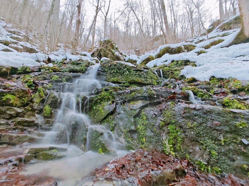 Photograph by OXANA NAUMOVA