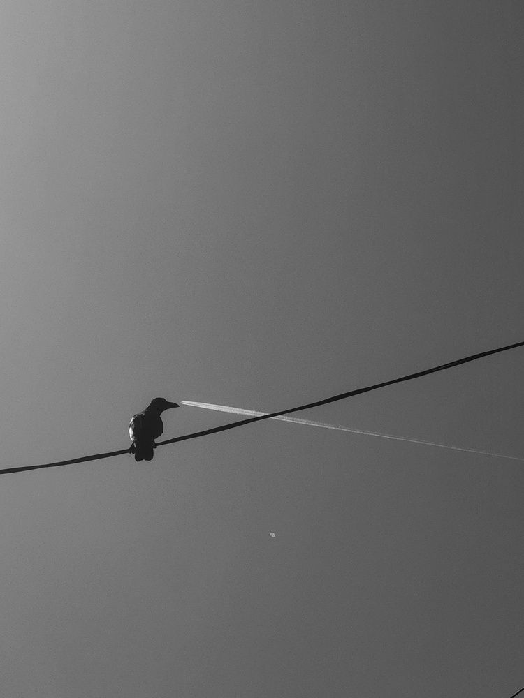 Photograph by Yug Shah