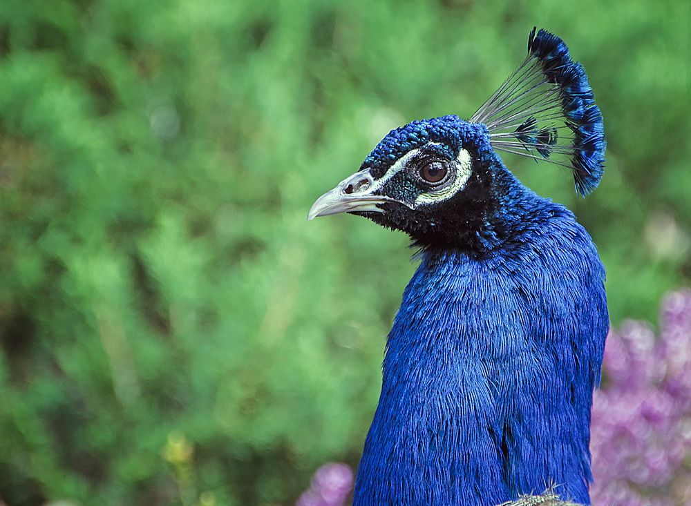 Фотография автора Александр