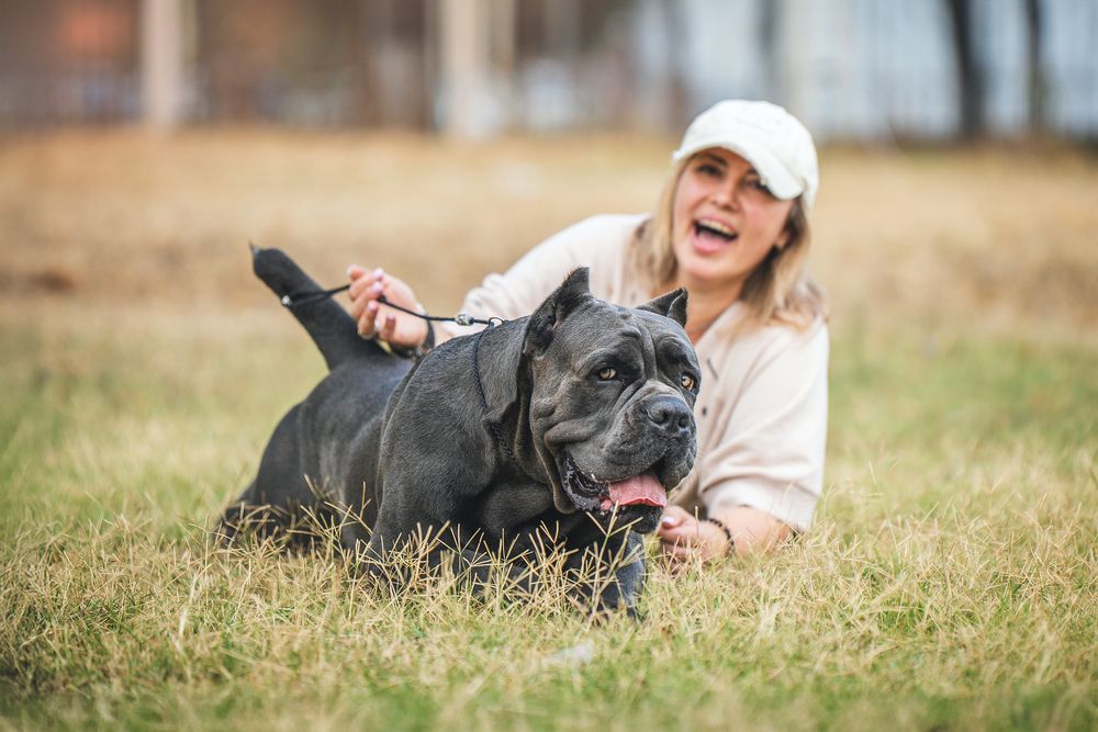 Photograph by Наталья Орел