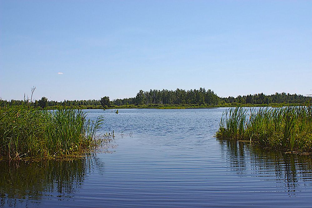 Photograph by Евгений Беленков