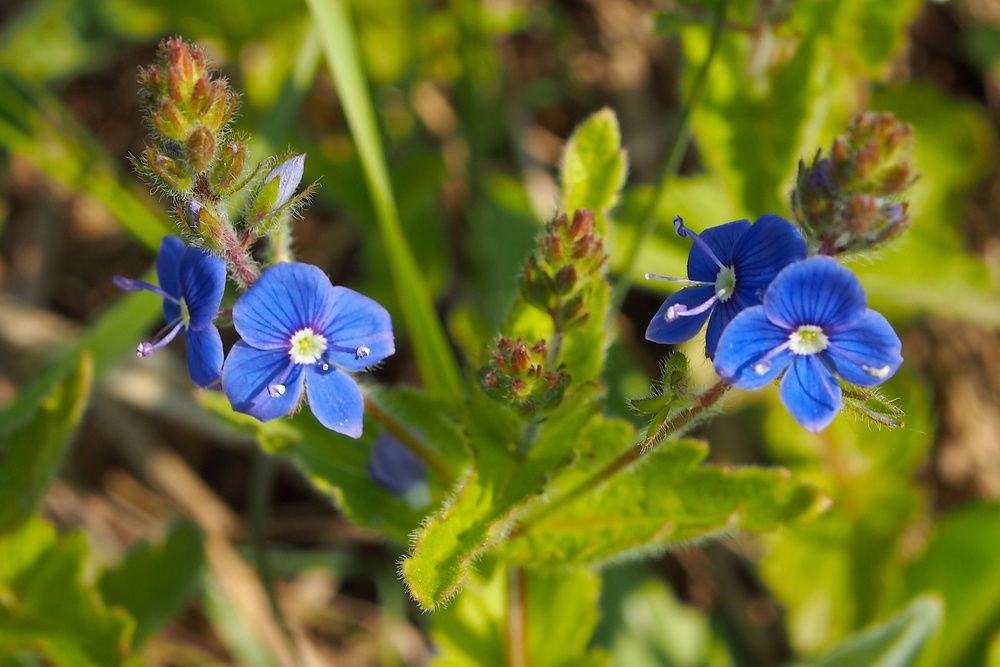 Photograph by Евгений Беленков