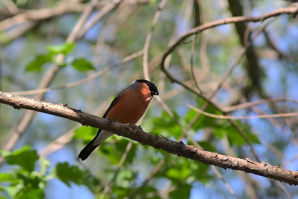 Photograph by Евгений Беленков