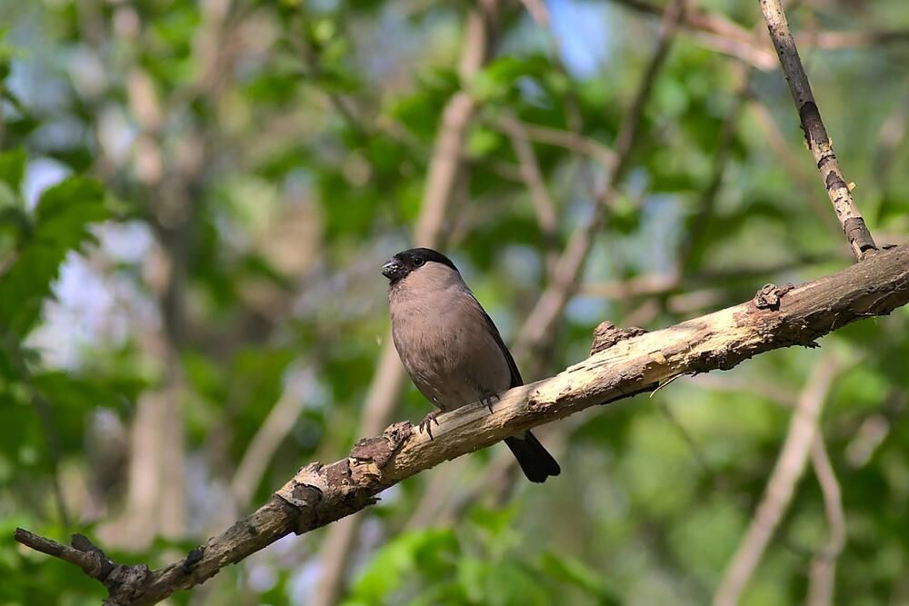 Photograph by Евгений Беленков
