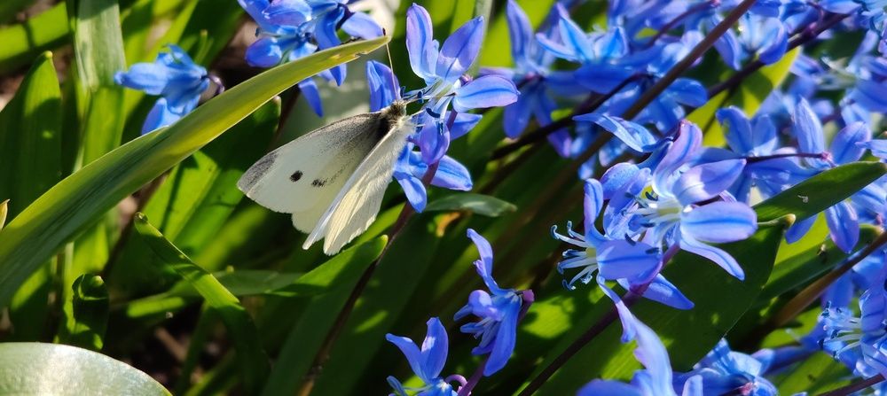Photograph by Дарина Ворошилова