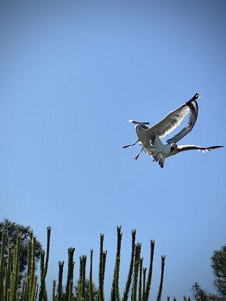 Photograph by Ксения Юртаева