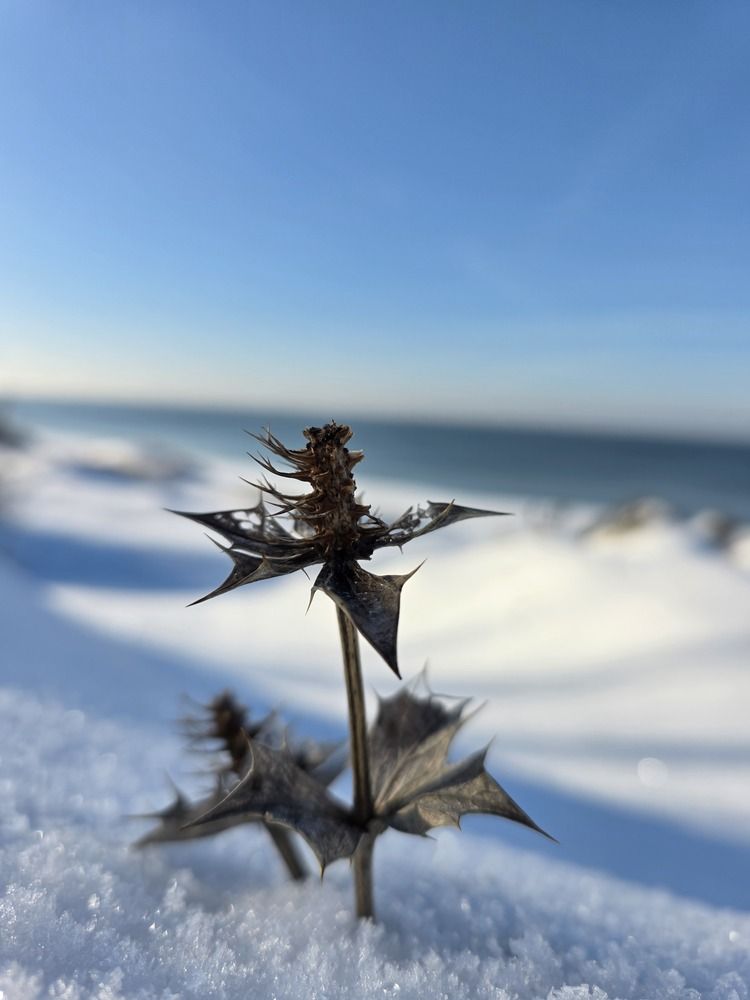 Photograph by Владимир Кублицкий