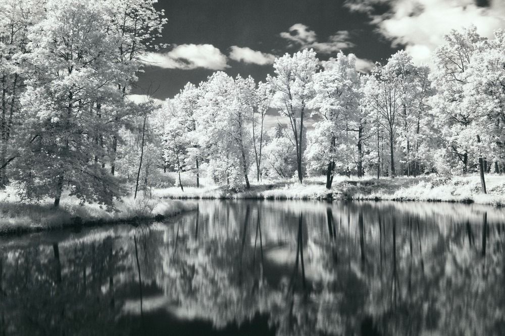 зимнее лето