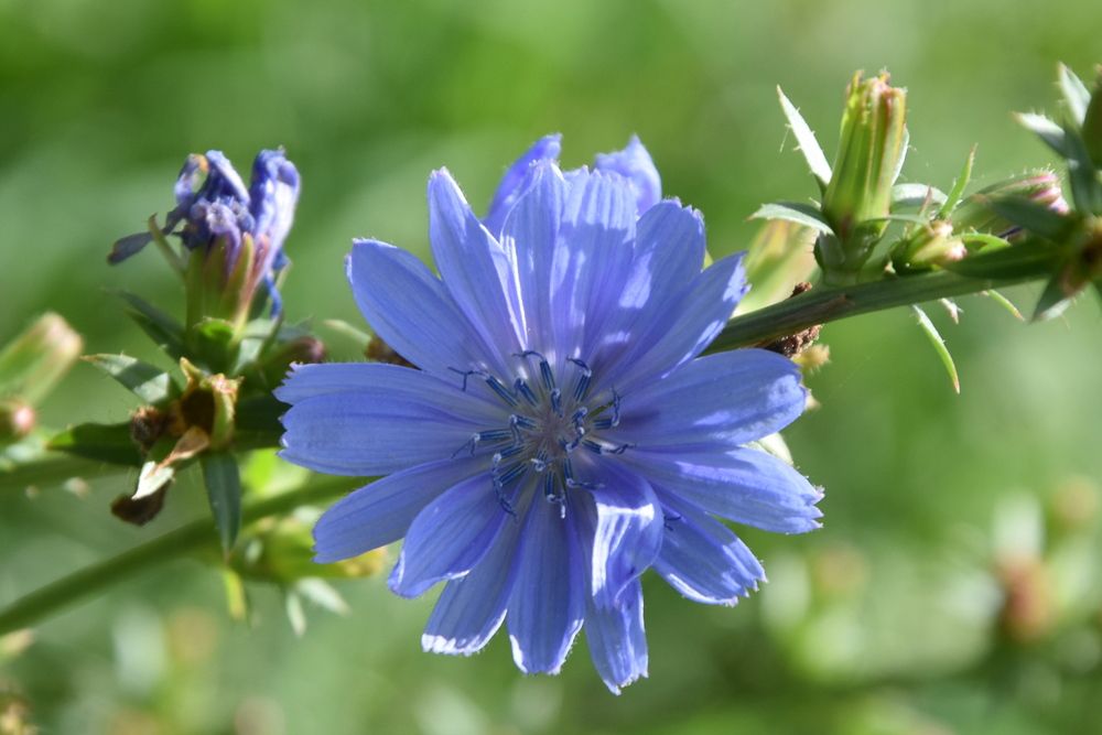 Photograph by Dimon Grinih