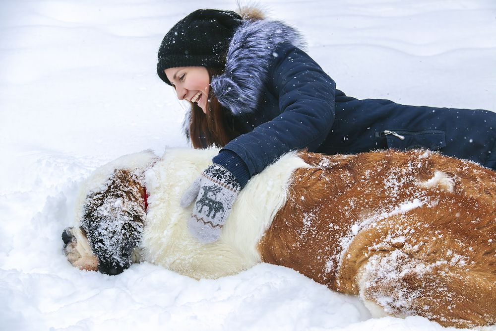 Photograph by Лариса Рулёва