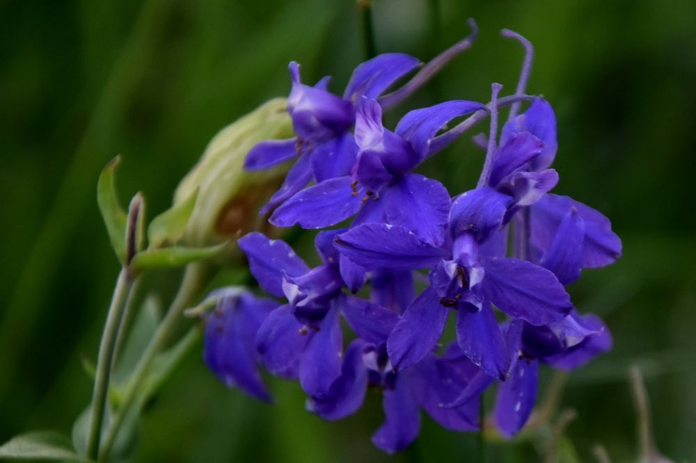 Photograph by Dimon Grinih