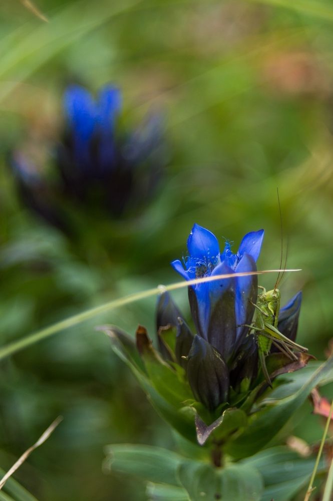 Photograph by Анастасия